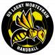 Logo US Lagny Montevrain Handball 3