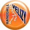 Logo Handball Club Velizy