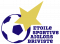 Logo Etoile Sportive Aiglons Briviste