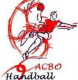 Logo Carbon-Blanc Handball
