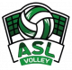 Logo AS Landaise Volley ball
