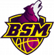 Logo Basket Saint Macaire 2
