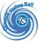 Logo Orvault Volley-Ball