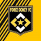 Logo Forez Donzy FC
