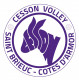 Logo Cesson St-Brieuc Côtes d'Armor VB 2