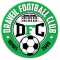 Logo Draveil FC 2