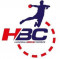 Logo Handball Brive Correze 2
