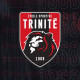 Logo Et.S. Trinite Lyon 2